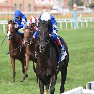 «ريبلز رومانس» لجودلفين يواصل حضوره العالمي بأمريكا