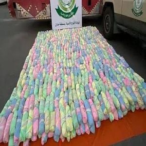 إحباط تهريب 80 كيلوجرامًا من نبات القات المخدر بجازان