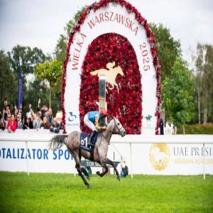 المهر «حصيف» بطل كأس رئيس الدولة للخيول العربية في بولندا