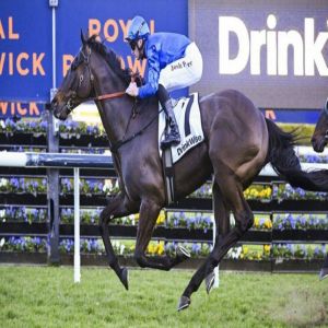 «بيركليس» لجودلفين جاهز لتحدي «إبسوم» في أستراليا