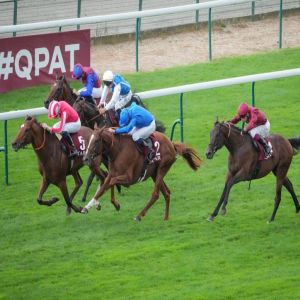 «كواليفيكار» أمل خيول الإمارات في «الآرك» الفرنسي