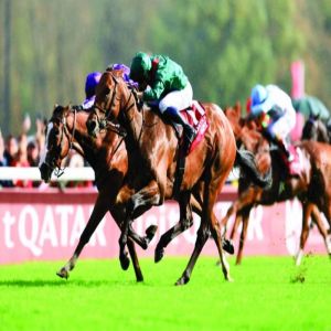 «داريز» بطلاً للنسخة 104 من سباق «الأرك الفرنسي»