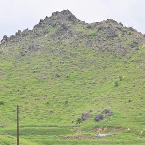 جازان "الطبيعة والرؤية".. تناغمٌ يُشكِّل ملامح التنمية المستدامة