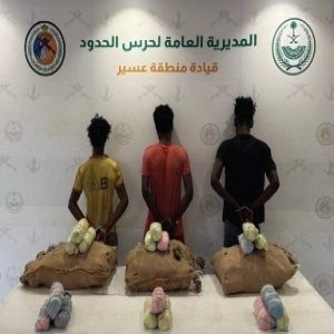 «حرس الحدود» يقبض على 3 مخالفين لنظام أمن الحدود لتهريبهم 60 كيلوغراماً من القات بعسير