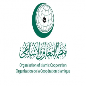 منظمة التعاون الإسلامي ترحب بإعلان وقف إطلاق النار في قطاع غزة