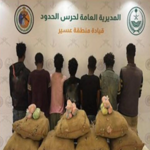 عسير: القبض على 7 مخالفين لتهريبهم 105 كيلوغرامات من القات