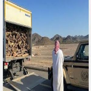 ضبط مخالف لنظام البيئة لنقله الحطب المحلي بمنطقة الرياض