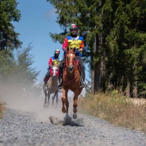 5 فرسان يمثلون الإمارات في بطولة القدرة بدورة الألعاب الآسيوية