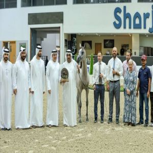 «مربط دبي» يتألق في منافسات ثاني أيام «الشارقة للجواد العربي» الـ 22