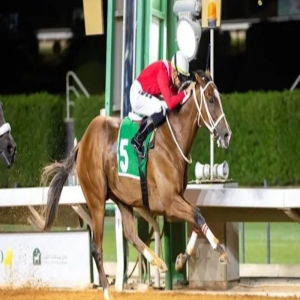 نادي سباقات الخيل يفتتح موسمه الجديد 2025-2026