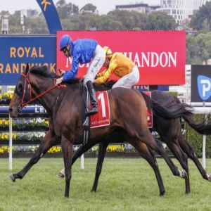 خيول جودلفين تتألق في إنجلترا وأستراليا