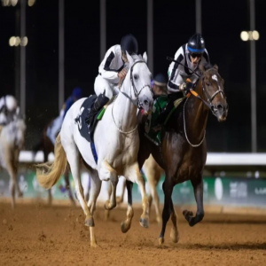 ميدان سباقات الخيل بنجران يُنظّم حفل سباقه الخامس