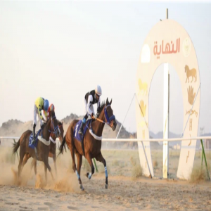 الجواد "حفر الباطن" يحقق كأس محافظة شرورة