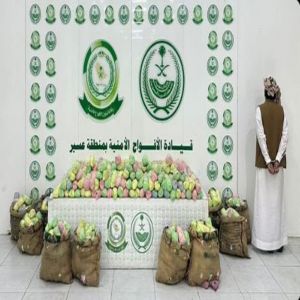 القبض على مواطن في عسير لترويجه 127 كيلو جرامًا من نبات القات