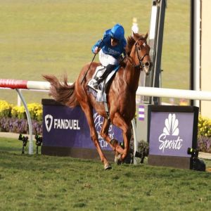 «نوتابل سبيتش» يهدي جودلفين لقب «بريدرز كب مايل»