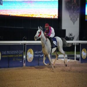 «عفجان» بطل كأس رئيس الدولة للخيول العربية في ليبيا