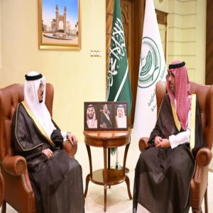 مُحافظ جدة يستقبل المدير التنفيذي لهيئة حقوق الإنسان بالتعاون الإسلامي