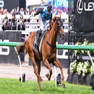 ميلهام تدخل التاريخ مع «هاف يورز» في «ملبورن كب»