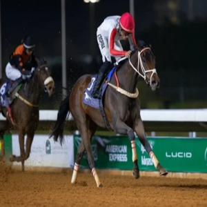 أسبوع رابع مثير في موسم سباقات الرياض