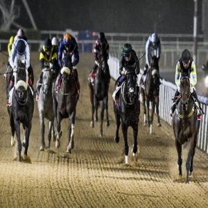 راشد بن دلموك: توافد المدربين الأجانب في الافتتاح يؤكد نجاح كرنفال سباقات دبي