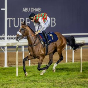 المهر«صافي» والجواد «إنر بيس» يحصدان الألقاب في مضار أبوظبي