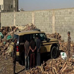 الرياض.. ضبط 3 مقيمين لارتكاب مخالفة تخزين الحطب المحلي