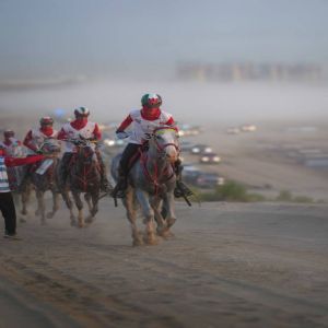 انطلاق موسم سباقات القدرة والتحمل في مدينة دبي الدولية للقدرة