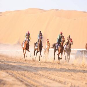 السباق الثاني للخيول العربية الأصيلة ينطلق في منطقة الظفرة غداً