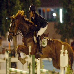غدًا.. فرسان قفز الحواجز ينطلقون في الجنادرية