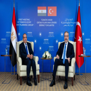 وزيرَا خارجية مصر وتركيا يؤكدان أهمية تثبيت اتفاق وقف إطلاق النار في غزة