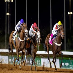 بميدان الملك عبدالعزيز.. أمير منطقة الرياض يرعى "بطولة الوفاء" على كأس الأمير محمد بن سعود الكبير في سباقات الخيل