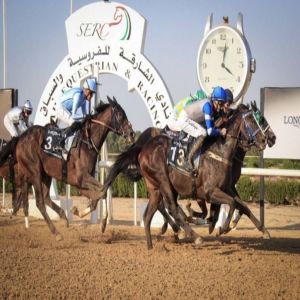 موسم سباقات مضمار الشارقة ينطلق اليوم