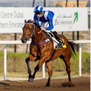 «رباح» لشادويل بطل «جائزة سلسلة سباقات جبل علي للسرعة»