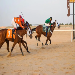 فروسية الأحساء تقيم حفل سباقها الثالث