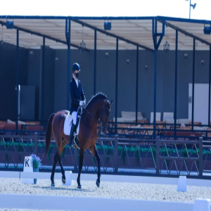 8 بطولات للترويض في موسم اتحاد الفروسية