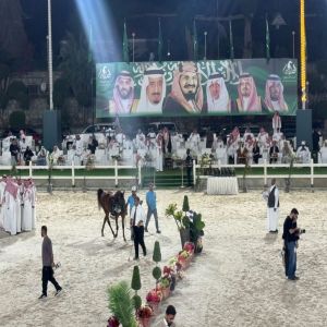 اختتام البطولة الدولية لجمال الجواد العربي في محافظة جدة