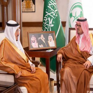 نائب أمير منطقة مكة المكرمة يستقبل المدير التنفيذي للهيئة الدائمة المستقلة لحقوق الإنسان