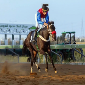 "منبهر" بطل الحفل الثالث في ميدان الملك سعود للفروسية