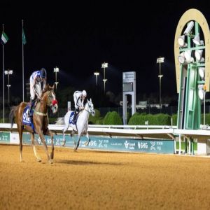 الجواد «نجيب الزمان» بطل كأس رئيس الدولة للخيول العربية الأصيلة في السعودية