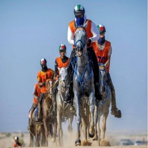 «زعبيل» تدافع عن اللقب.. الإسطبلات الخاصة تستهدف كأس يوم الشهيد للقدرة