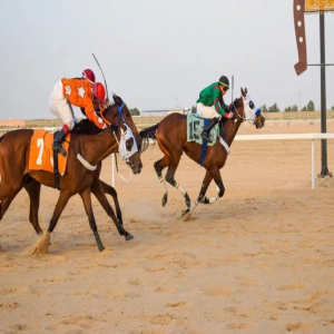 فروسية حائل تطلق غدًا موسمها الجديد