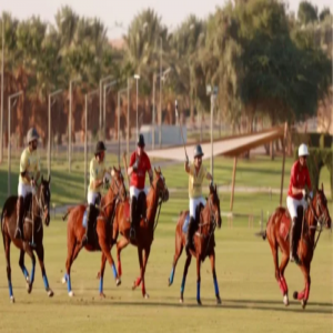 فريق تمام يُتوج بالكأس الفضية للبولو