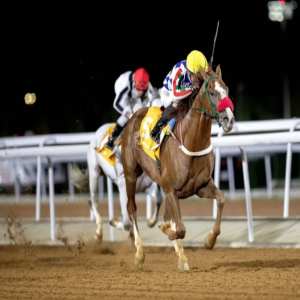 ترقية تصنيف كأس نيوم للفئة الأولى بـ"أمسية" كأس السعودية 2026