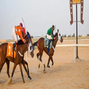 فروسية حائل تنظم حفل سباقها الأول