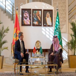 وزير الخارجية يبحث تعزيز التعاون مع نظيره في الجبل الأسود