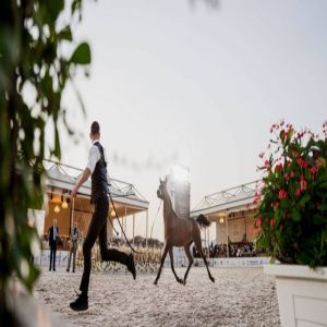 بطولة الفجيرة الدولية للخيل العربي ترفع وتيرة التنافس في يومها الثاني