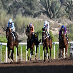 «إكسكلبيشن» بطل «عيد الاتحاد» في مضمار جبل علي