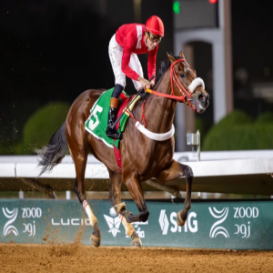 سباقات الرياض.. نادي الخيل ينظم منافسات الأسبوع السابع