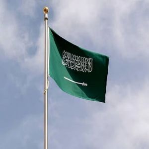 المملكة و7 دول تؤكد مجددًا التزامها باستقرار السوق البترولية