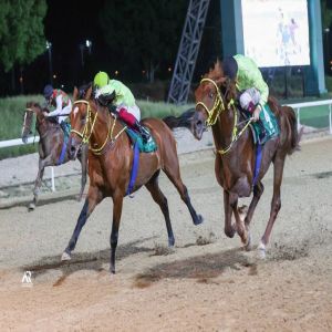 520 ألف درهم جوائز السباق الثالث بمضمار العين